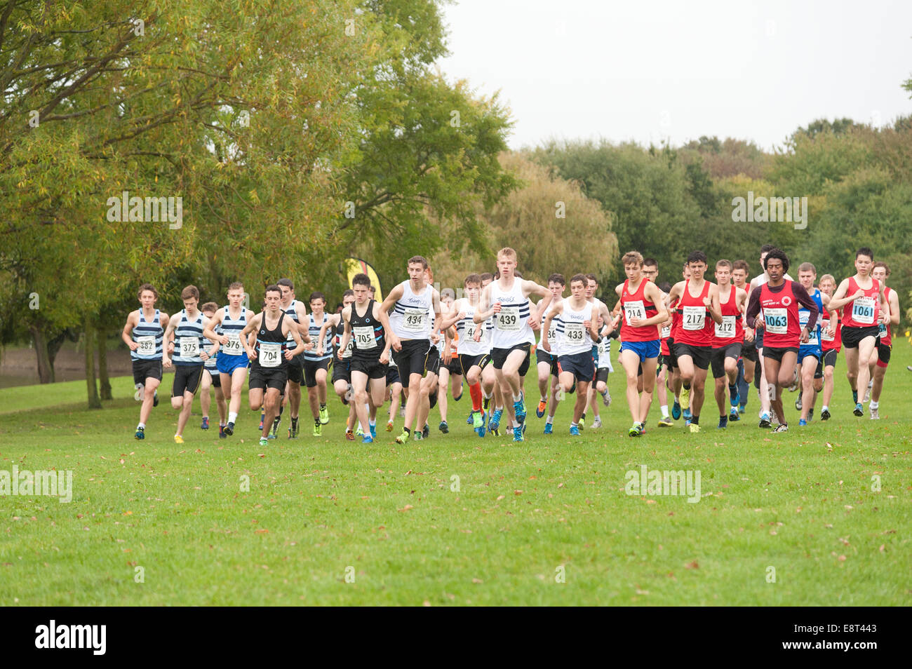 Cross country Kent Athletics team championships events start of race pack sprinting runners joggling for early lead Stock Photo