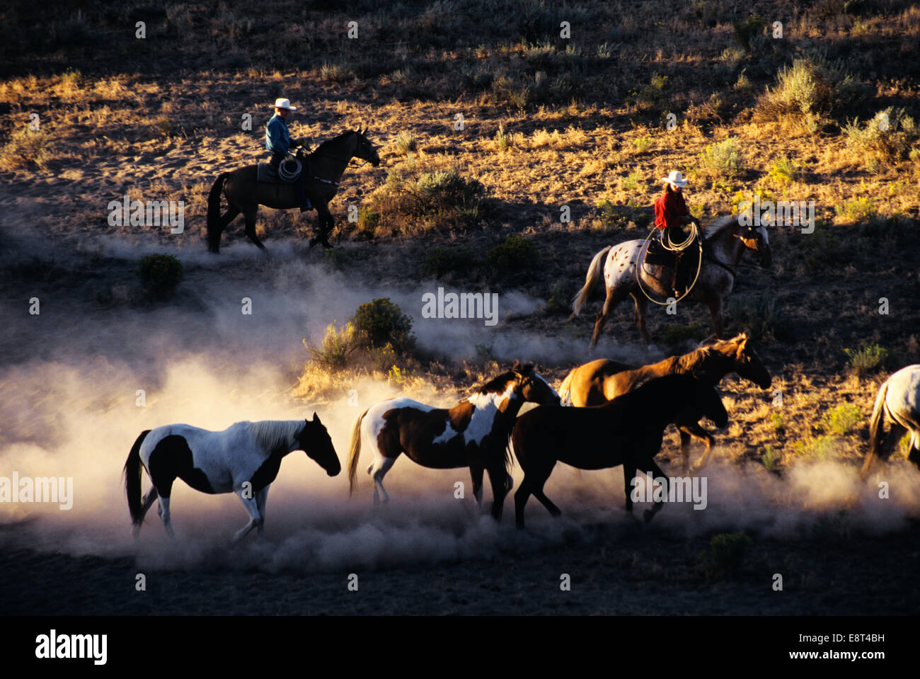 American cowboys in high hi-res stock photography and images - Alamy