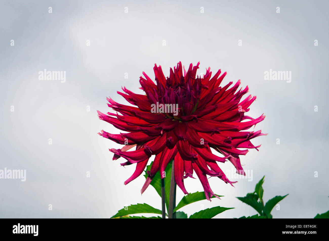 Czech republic on october 4 hi-res stock photography and images - Page 5 -  Alamy