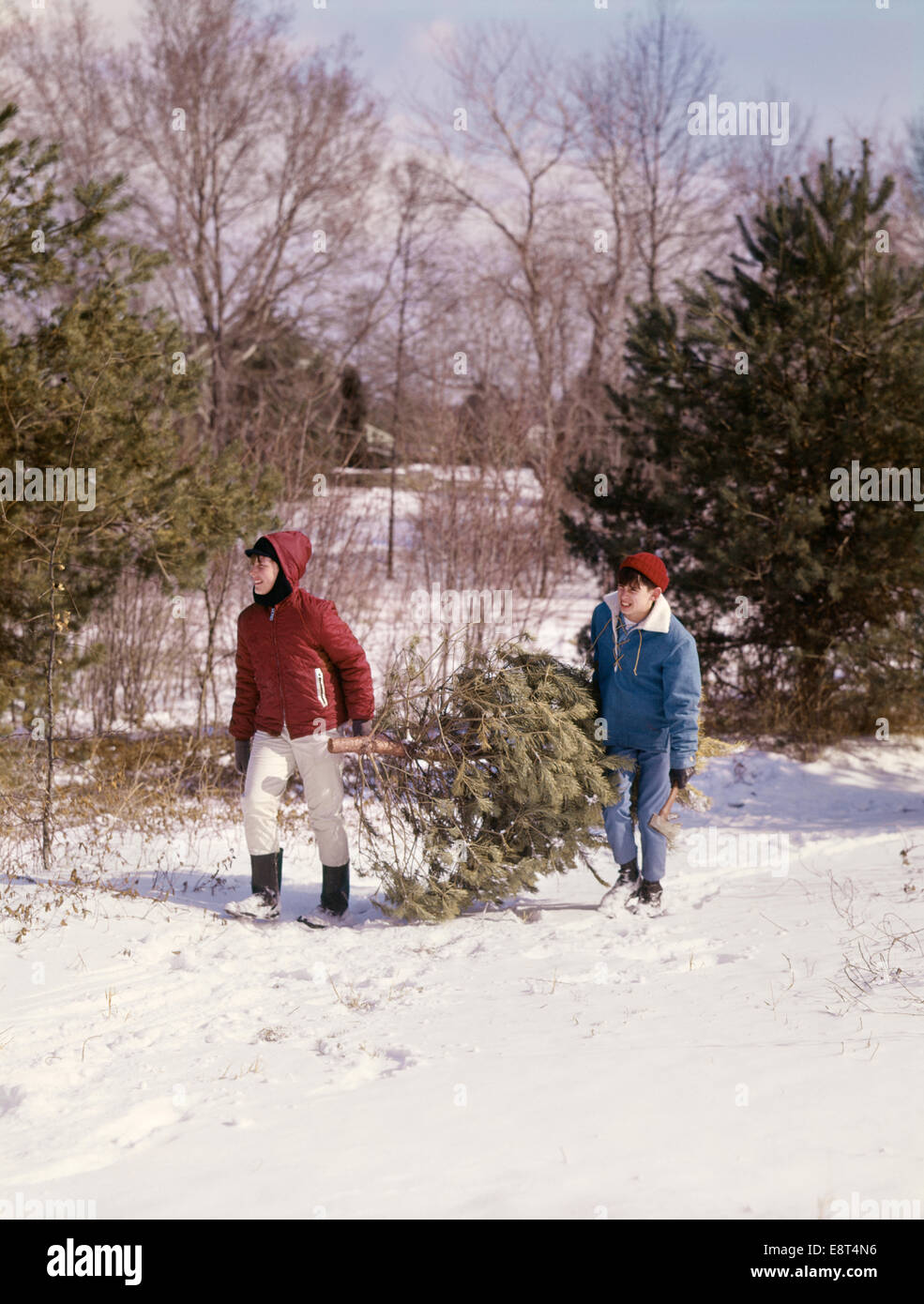 1960s TWO BOYS CARRYING EVERGREEN CHRISTMAS TREE THROUGH SNOW Stock Photo