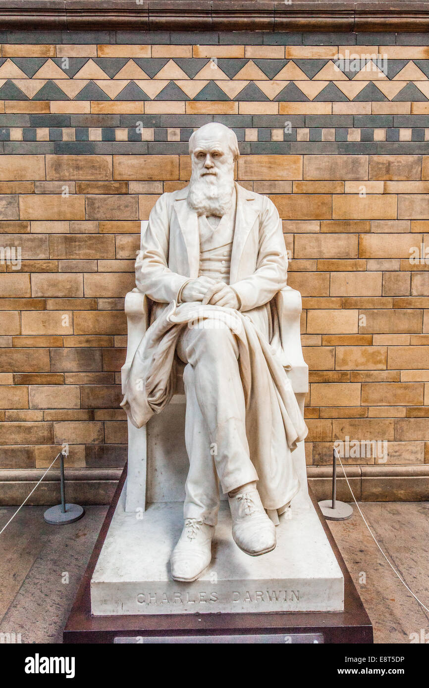 Statue of Charles Darwin at the Natural History Museum, Kensington