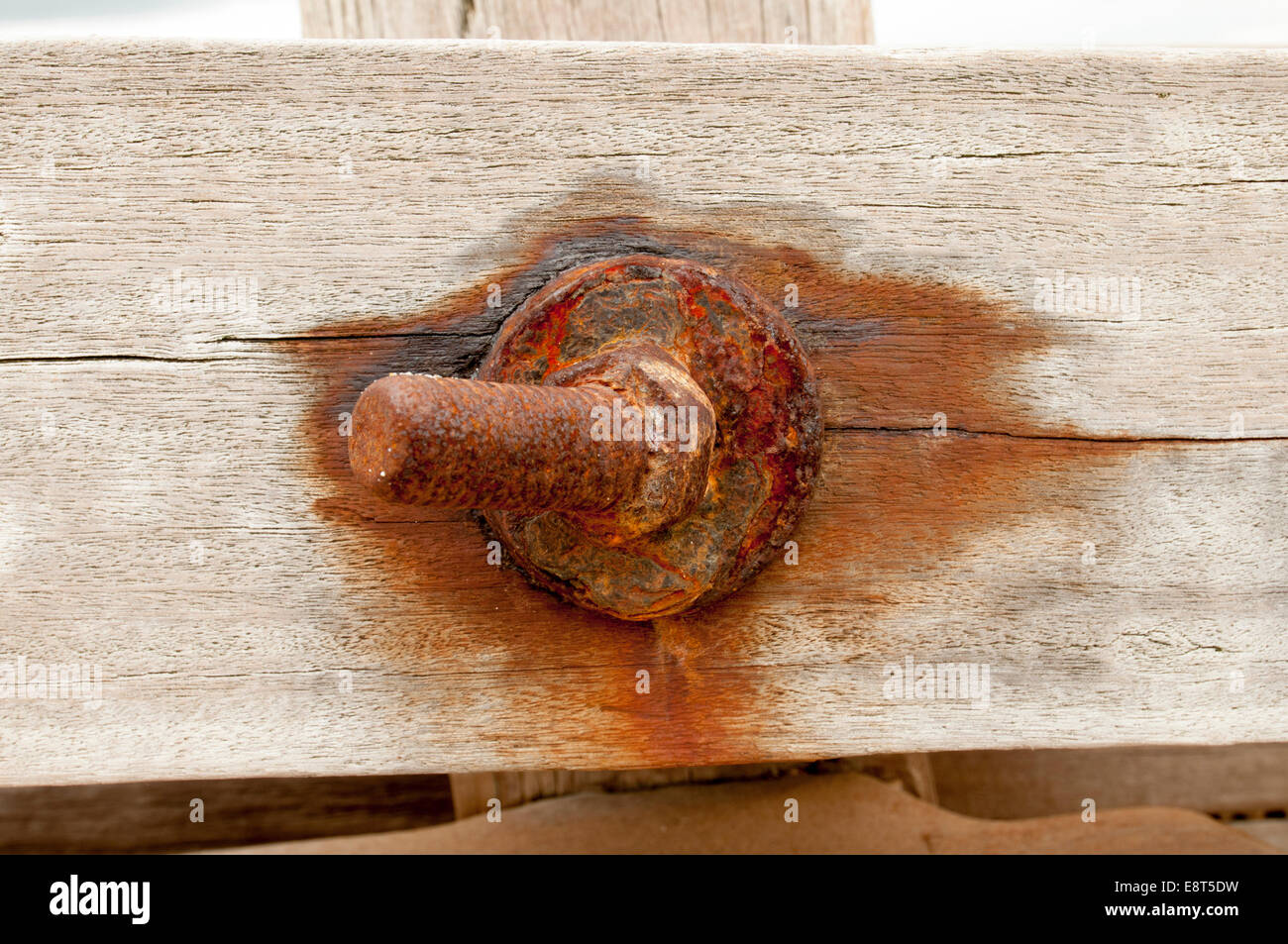 rusty bolt bolted into weathered wood Stock Photo Alamy