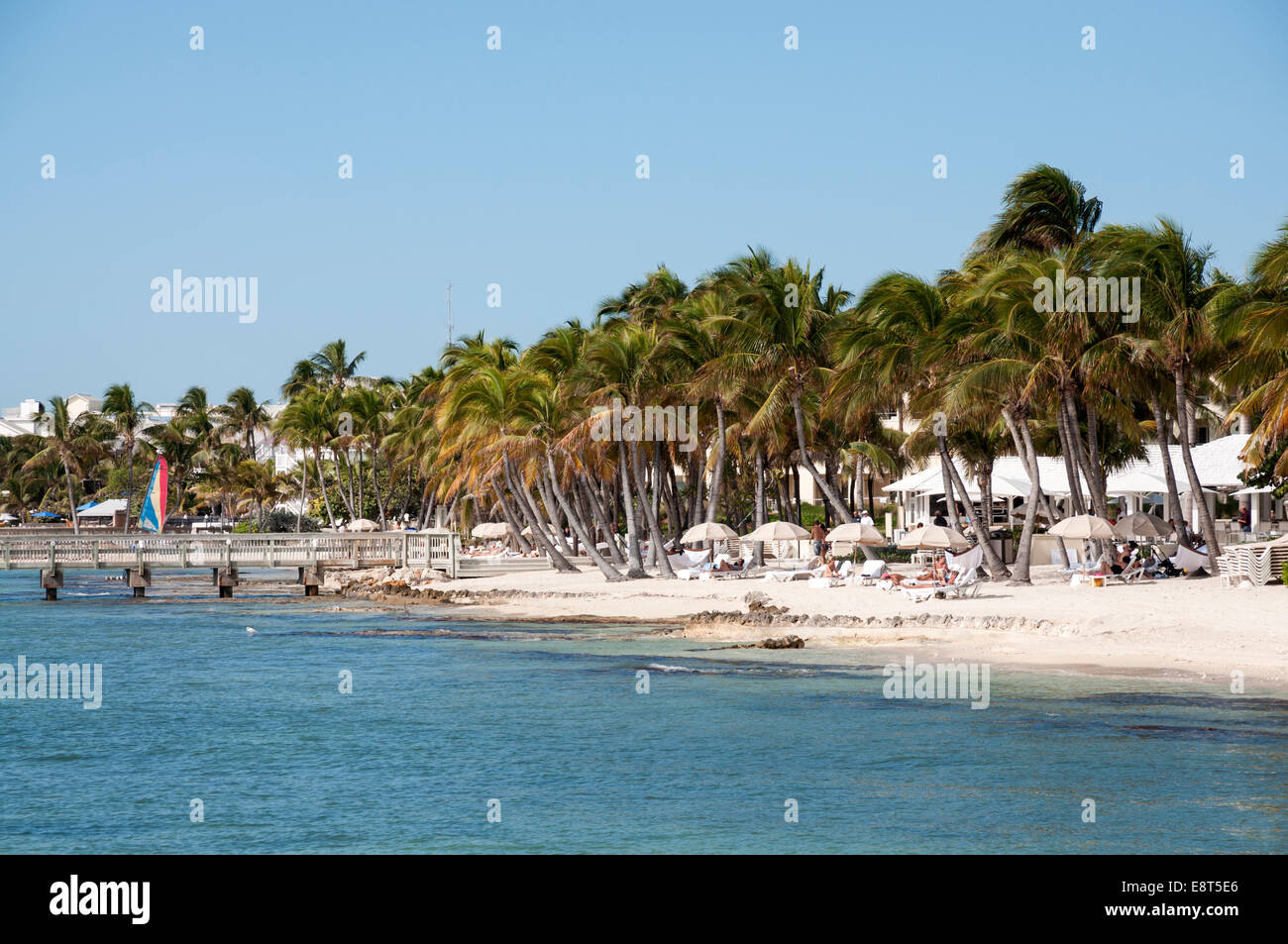 Beautiful white sand beach in Key West, Florida, USA Stock Photo