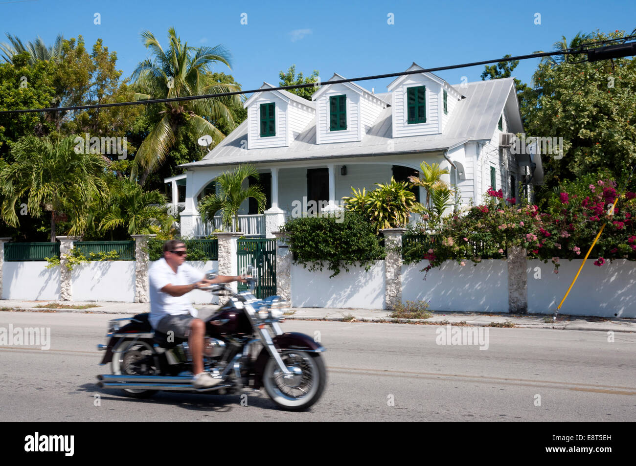 Man on Harley Davidson motorcycle in Key West, Florida Stock Photo Alamy