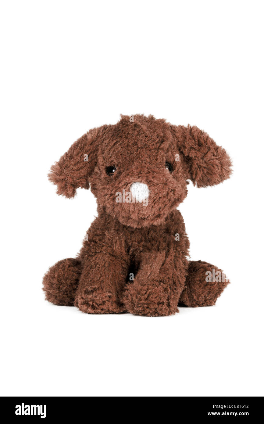 Brown dog, plush toy Stock Photo