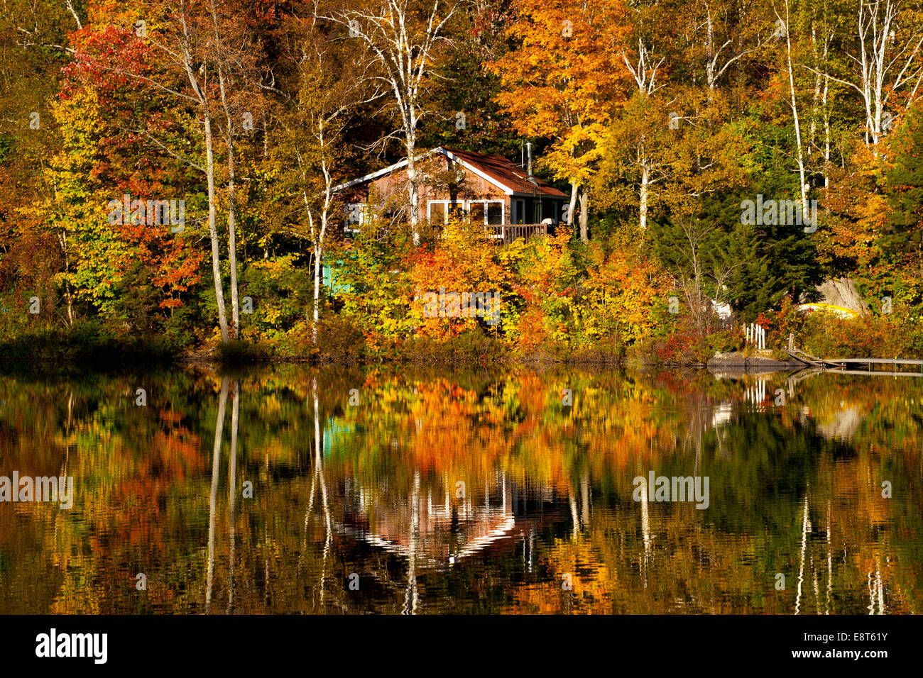 Cottage amongst the trees on Sugarloaf Pond in autumn, Eastern