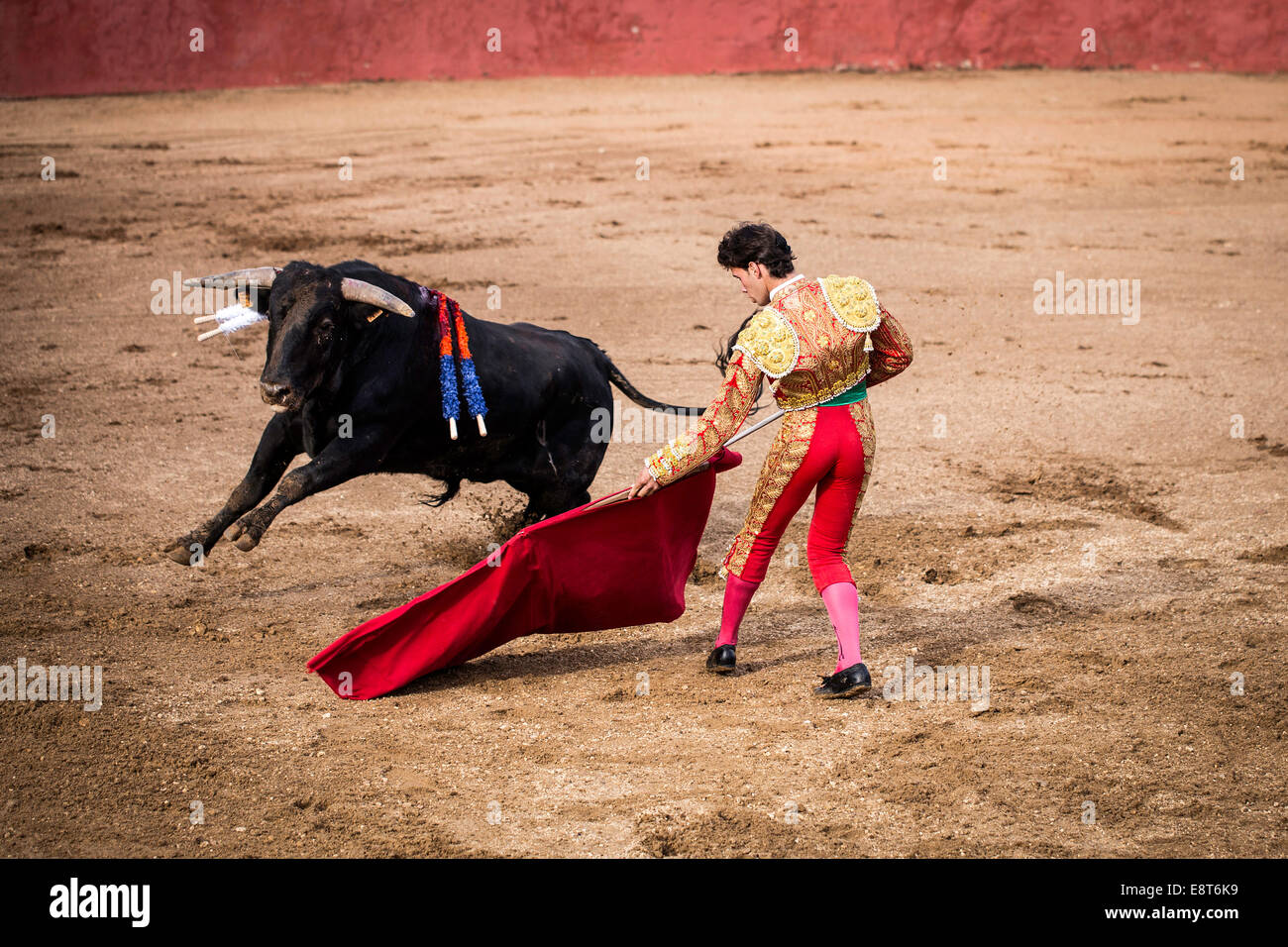 Bullfighting, El Barco de Ávila, Ávila Province, Spain Stock Photo
