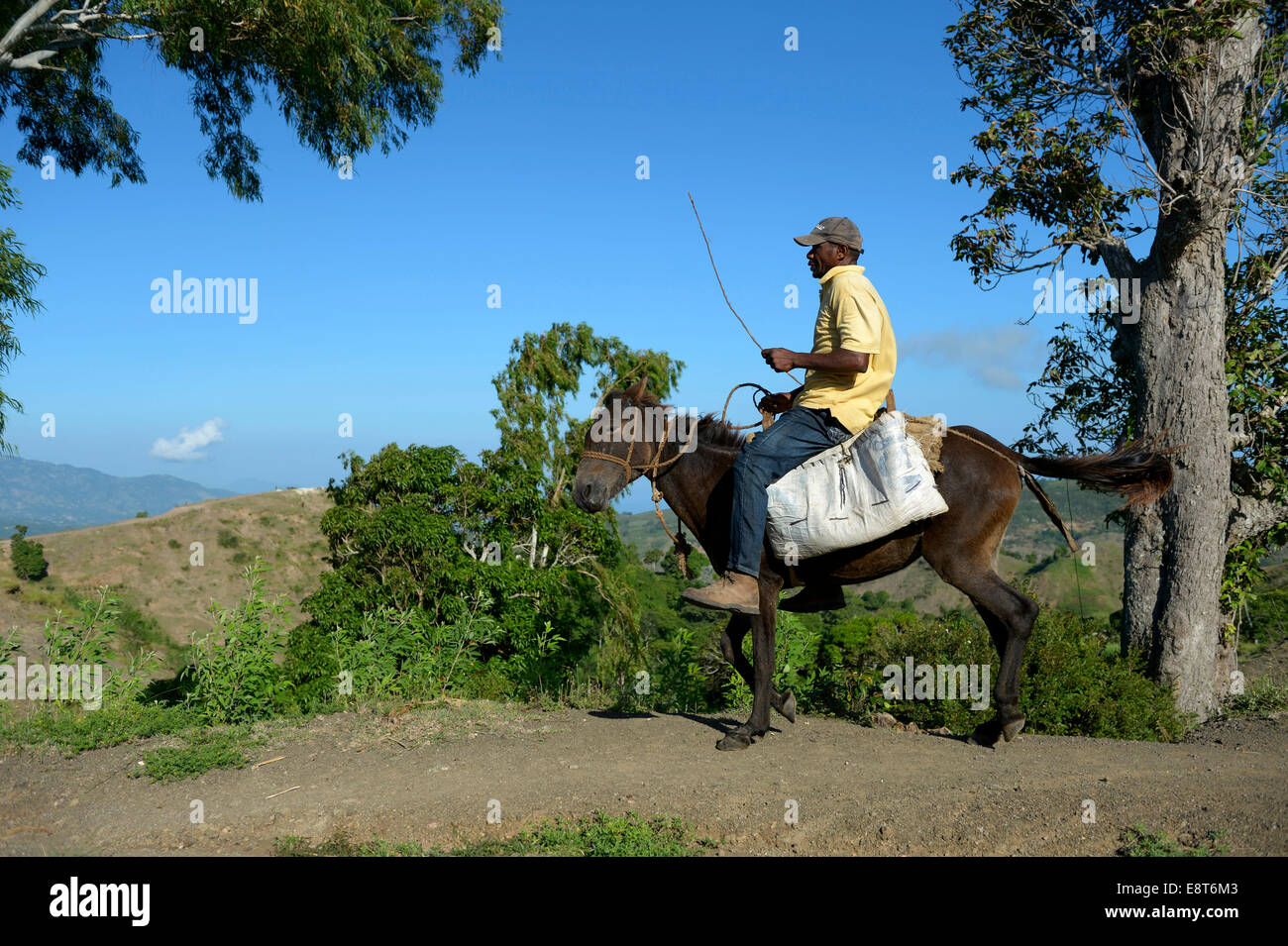 Man riding a donkey, Leogane, Haiti Stock Photo