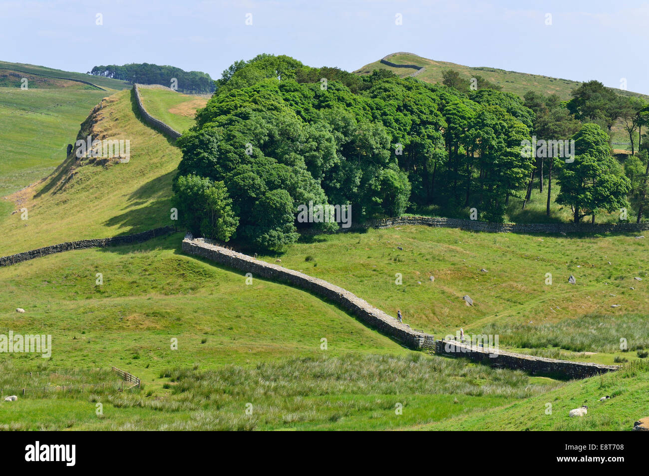 Hadrian's Wall meandering through the landscape, Housesteads Roman Fort, Haydon Bridge, Hexham, Northumberland, England Stock Photo