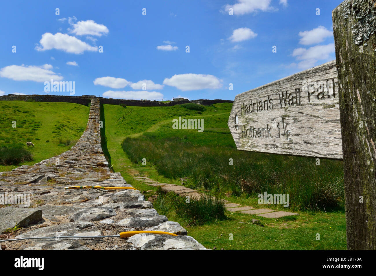 Hadrian's Wall meandering through the landscape, Housesteads Roman Fort, Haydon Bridge, Hexham, Northumberland, England Stock Photo