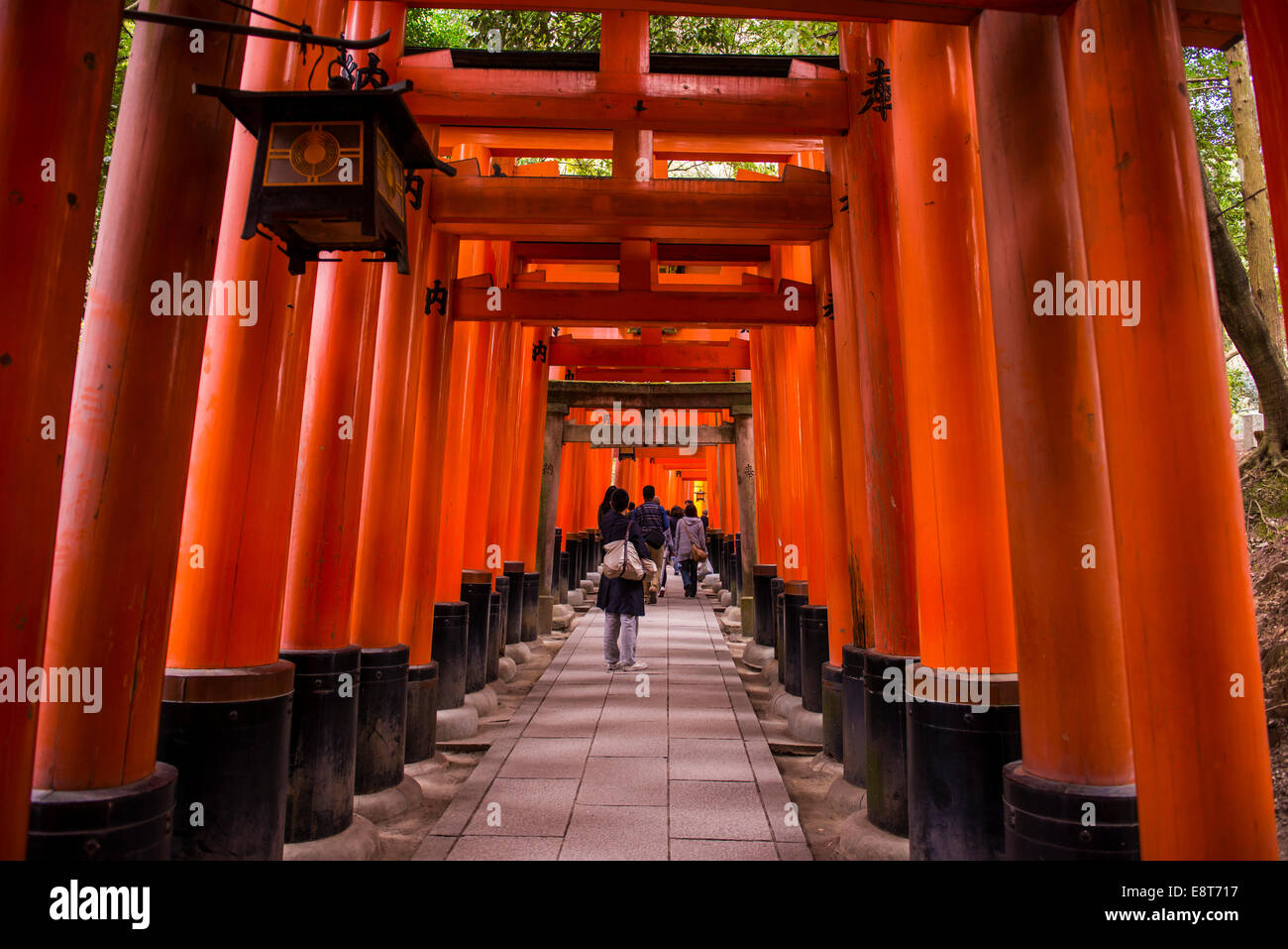 Torii or gates leading to the inner shrine, Fushimi Inari-taisha shrine, Kyoto, Japan Stock Photo