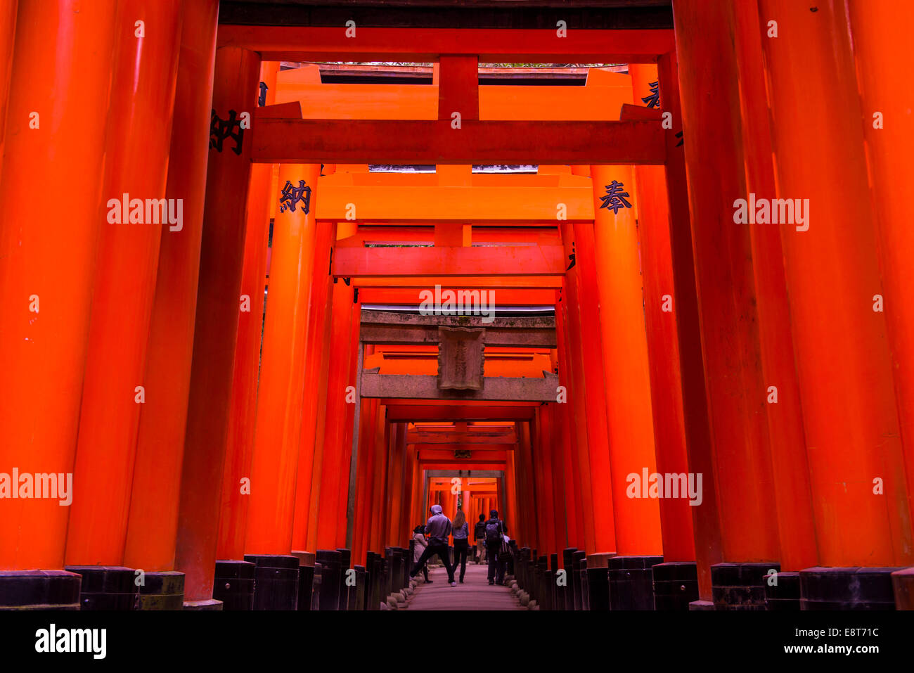 Torii or gates leading to the inner shrine, Fushimi Inari-taisha shrine, Kyoto, Japan Stock Photo