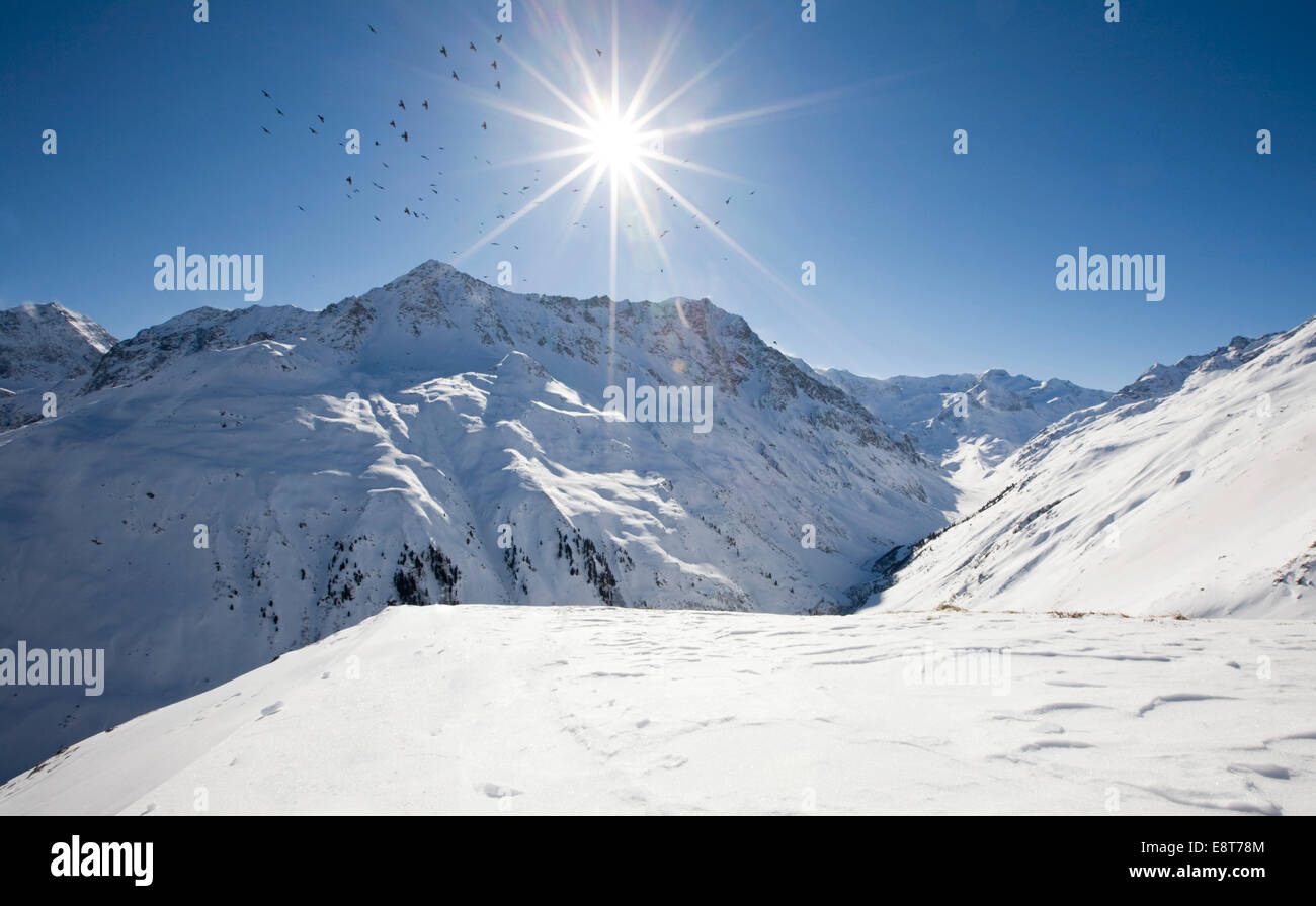 Birds circling the sun, winter landscape in the Pitztal, Taschachferner, North Tyrol, Austria Stock Photo