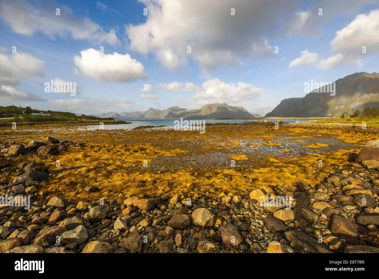 Coastline of Austvågøy or Austvågøya Island, Lofoten, Nordland, Norway Stock Photo