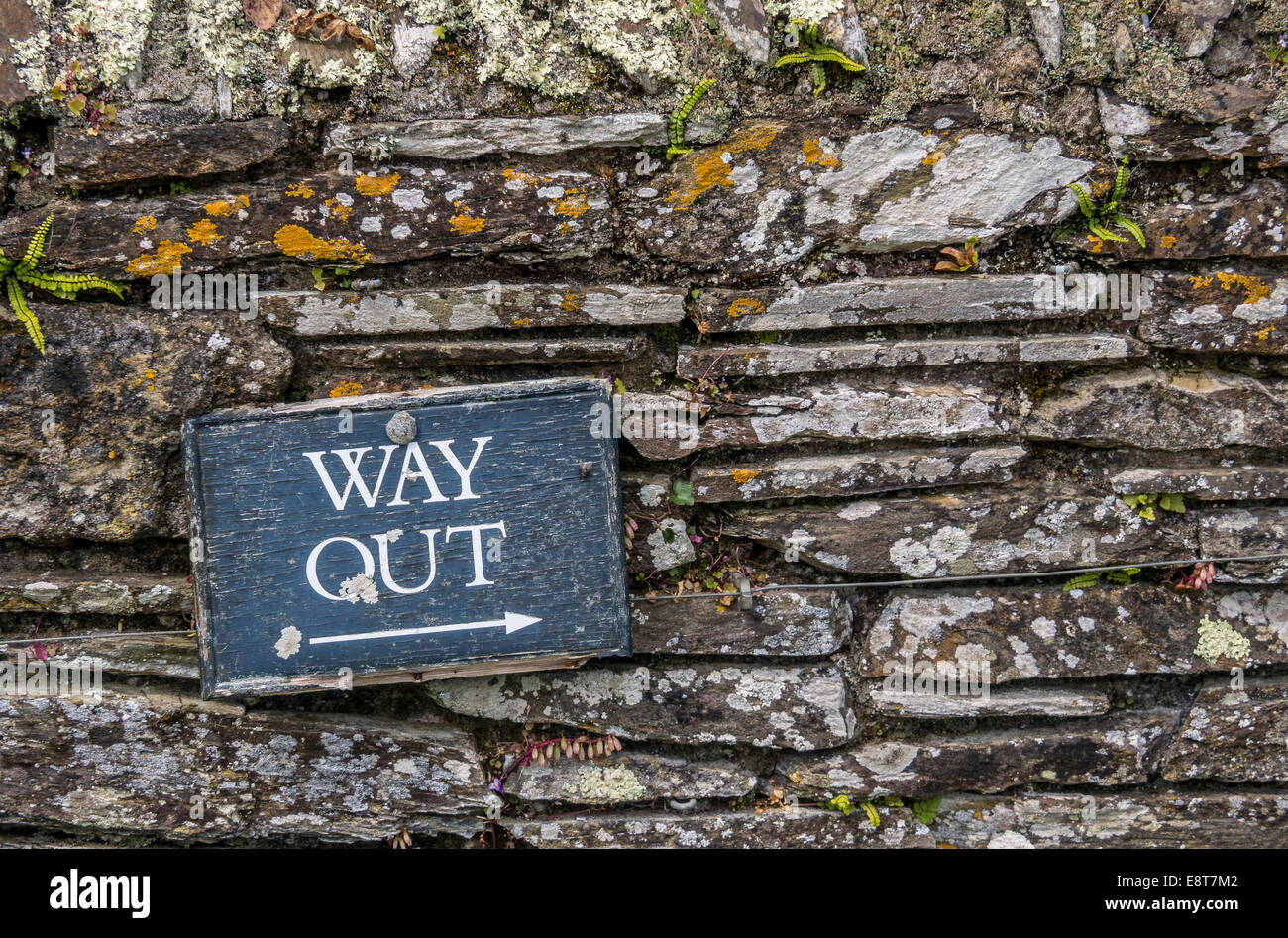 Sign 'Way Out' on a wall, Trelissik Garden, Cornwall, England, United Kingdom Stock Photo