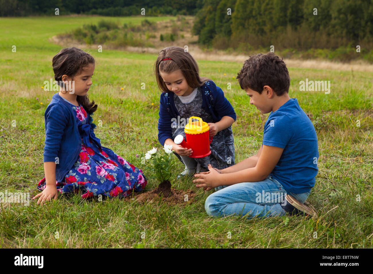 Girl and boy watering plants hi-res stock photography and images - Alamy