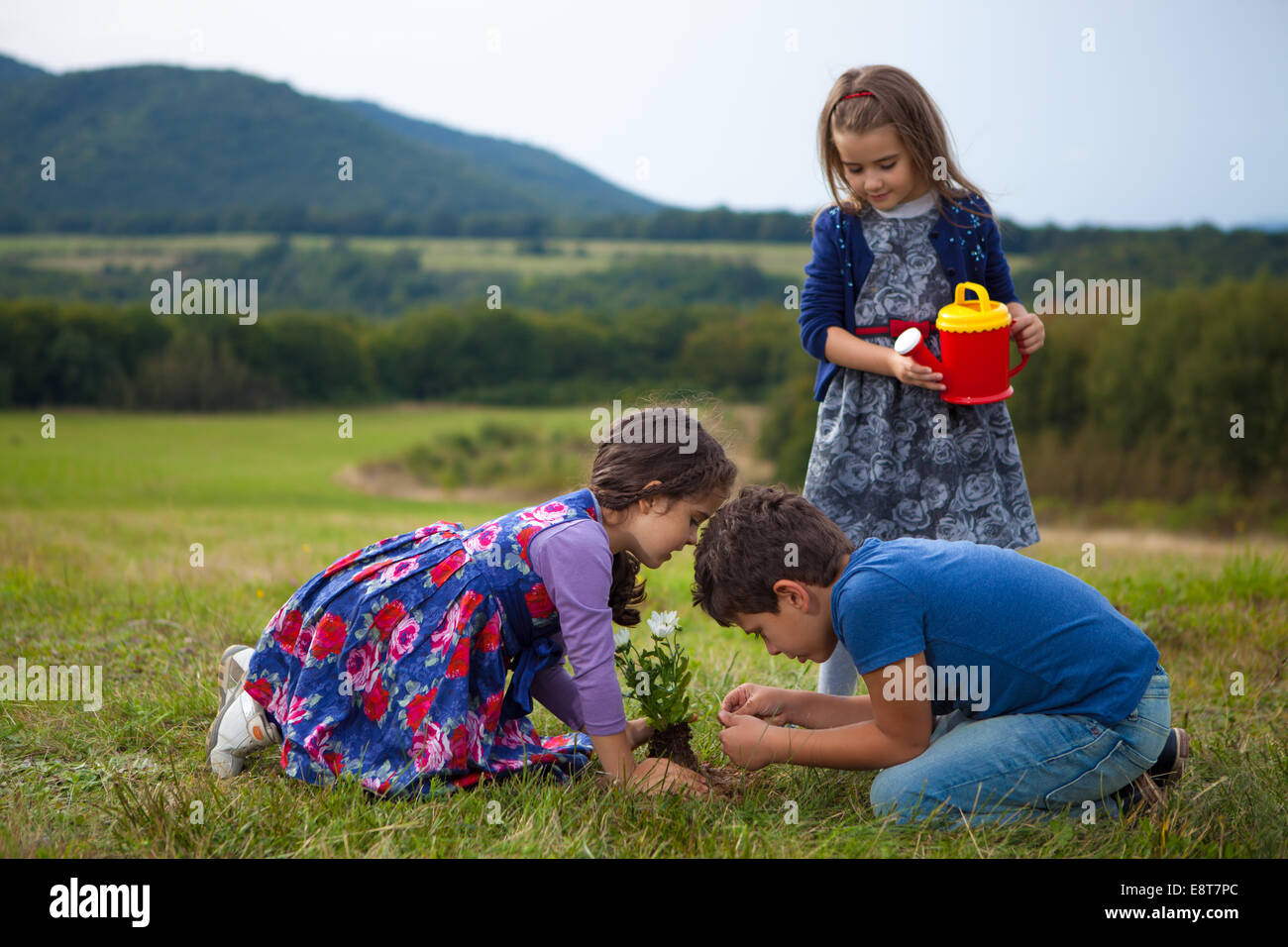 Kids gardening and watering plants with a toy plastic watering can Stock Photo