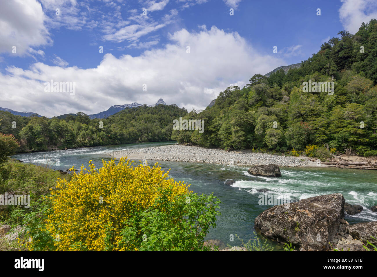 Cisnes chile hires stock photography and images Alamy