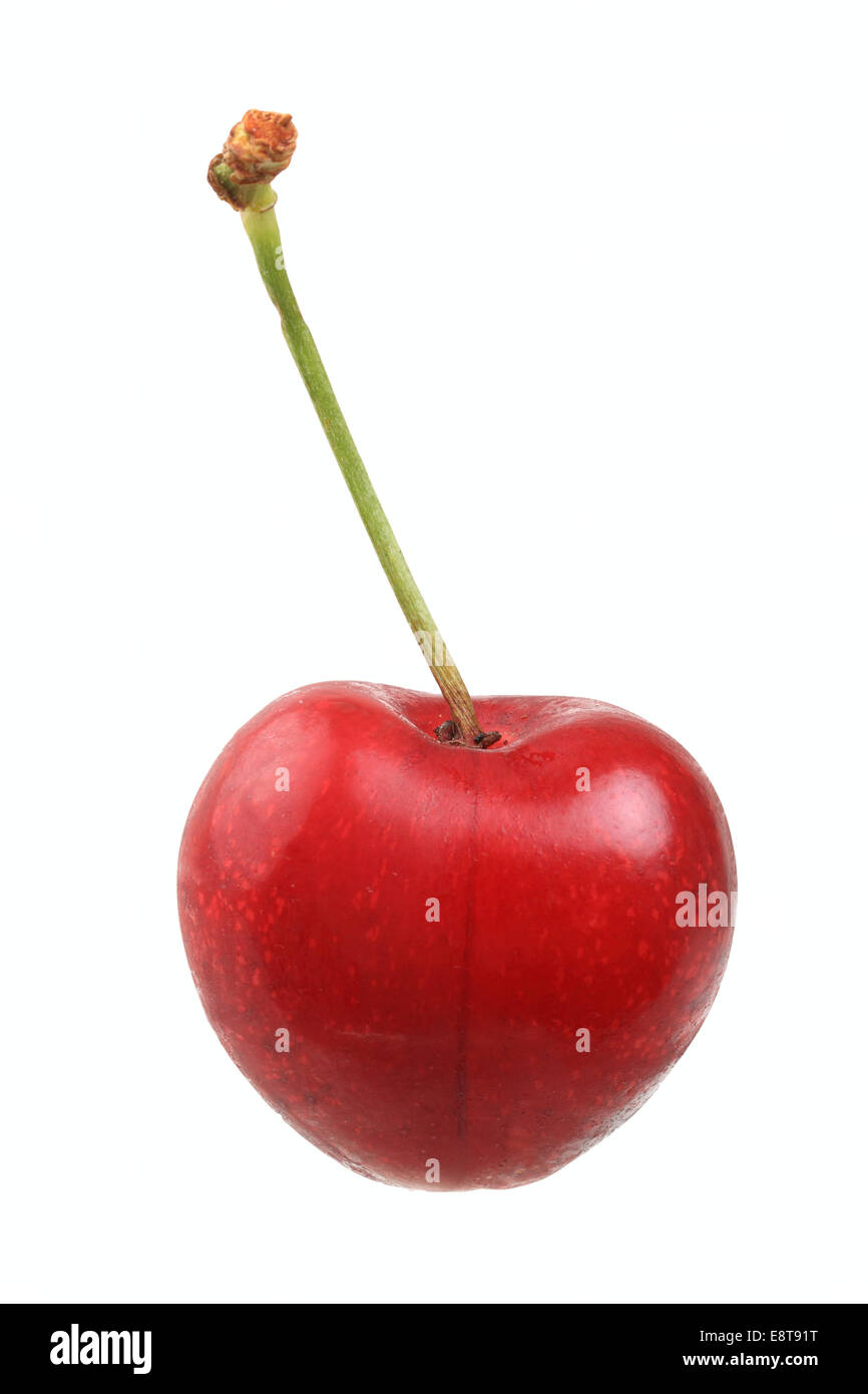 Sweet cherry, Büttners Große Knorpelkirsche variety Stock Photo