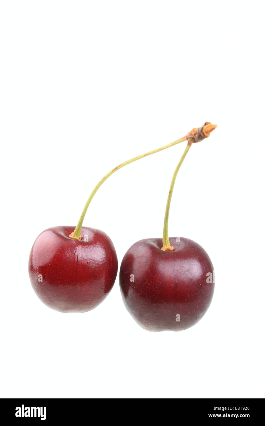 Sweet cherries, Sunburst variety Stock Photo