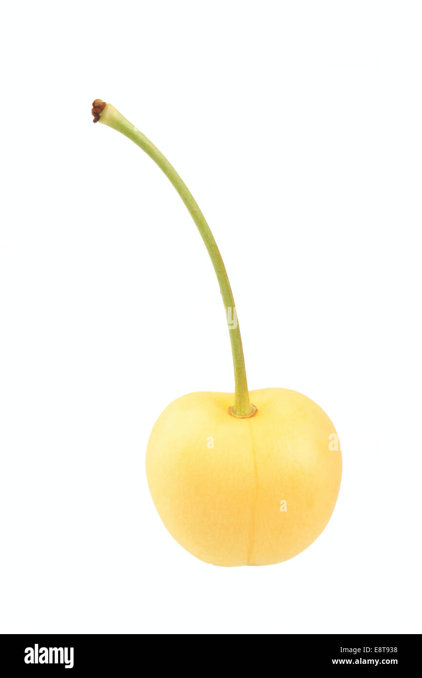 Sweet cherry, Dönissens Gelbe Knorpelkirsche variety Stock Photo