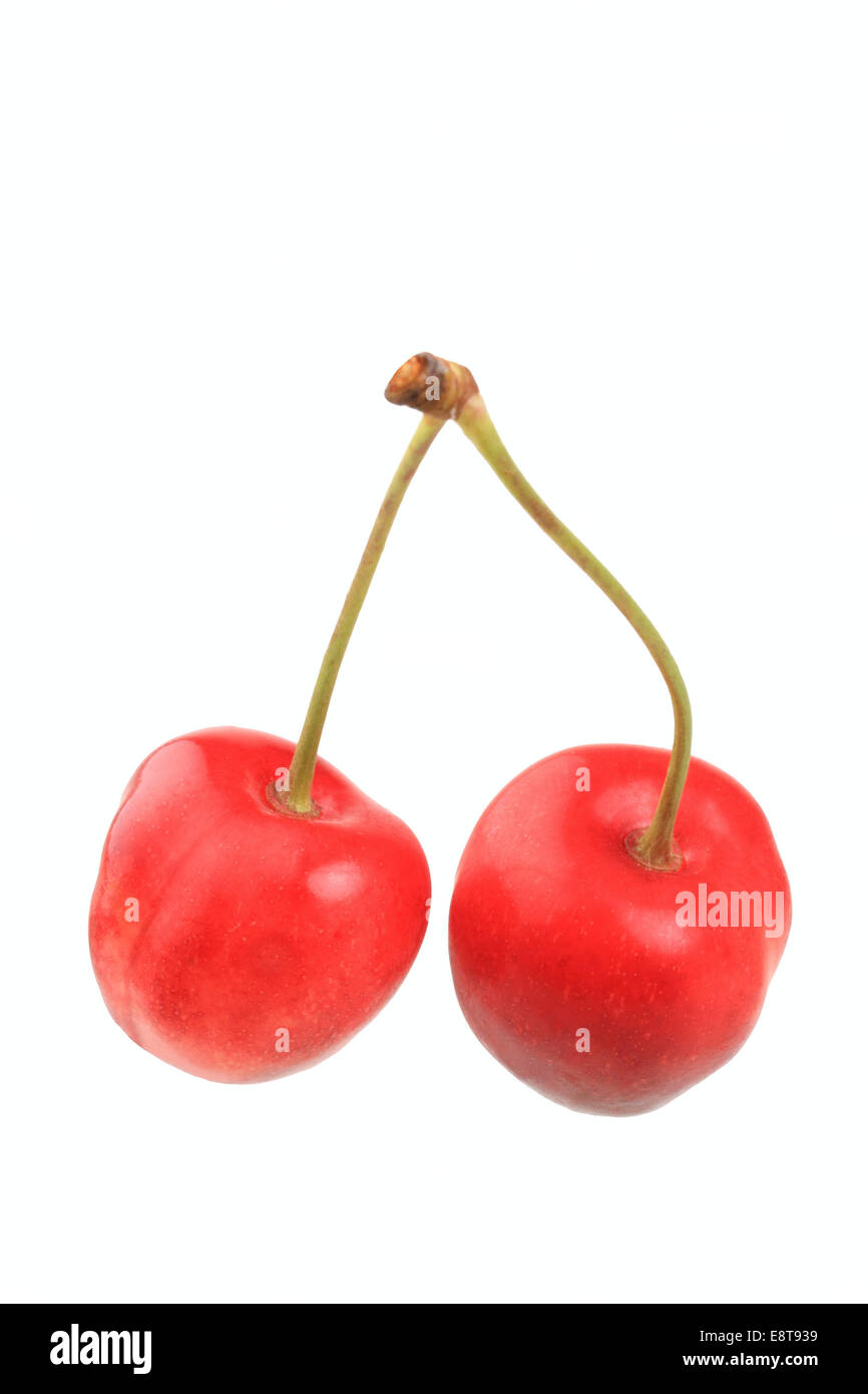 Sweet cherries, variety Büttners Große Knorpelkirsche Stock Photo