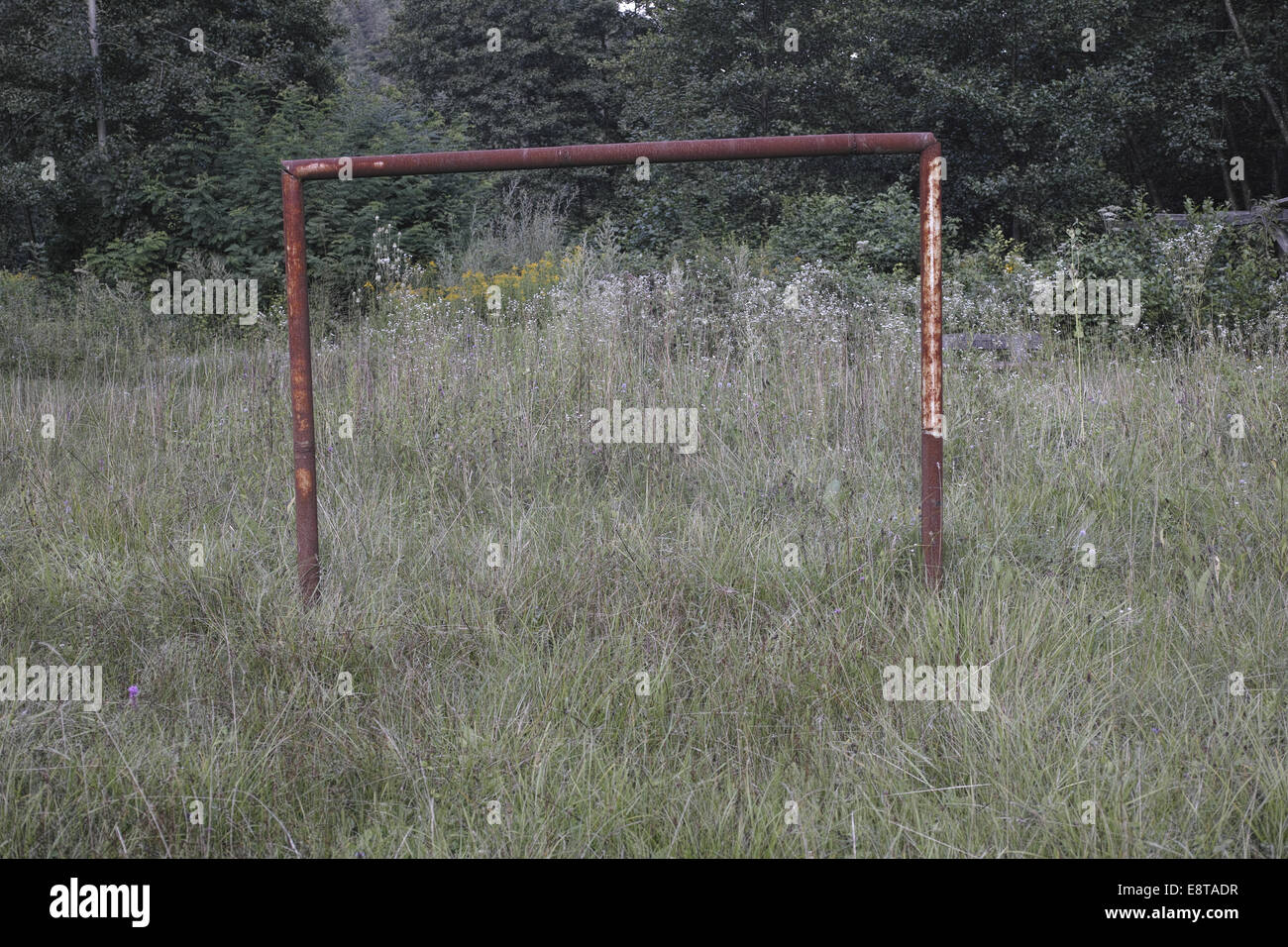 Old ruined metallic football goal in high grass Stock Photo