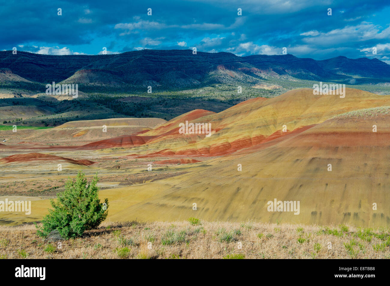 Painted hills in desert landscape, Bend, Oregon, United States Stock Photo