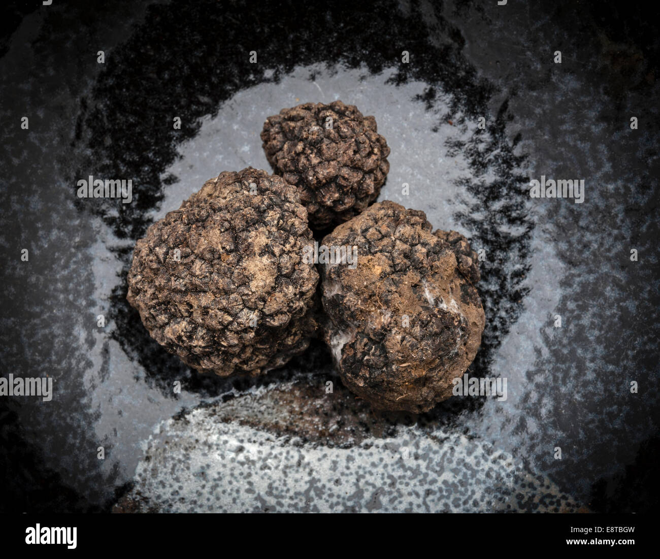 Black truffles from Italy (tuber melanosporum), generally known as the Perigord truffle Stock Photo