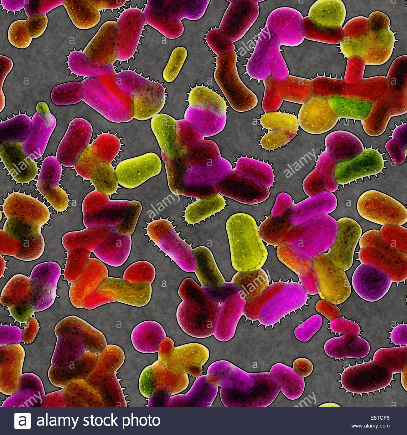 Bacteria Under Microscope Stock Photos & Bacteria Under Microscope