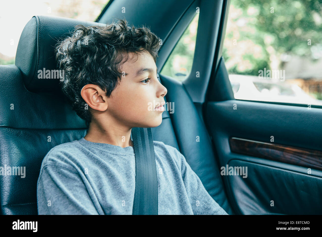 Mixed race boy sitting in car back seat Stock Photo - Alamy