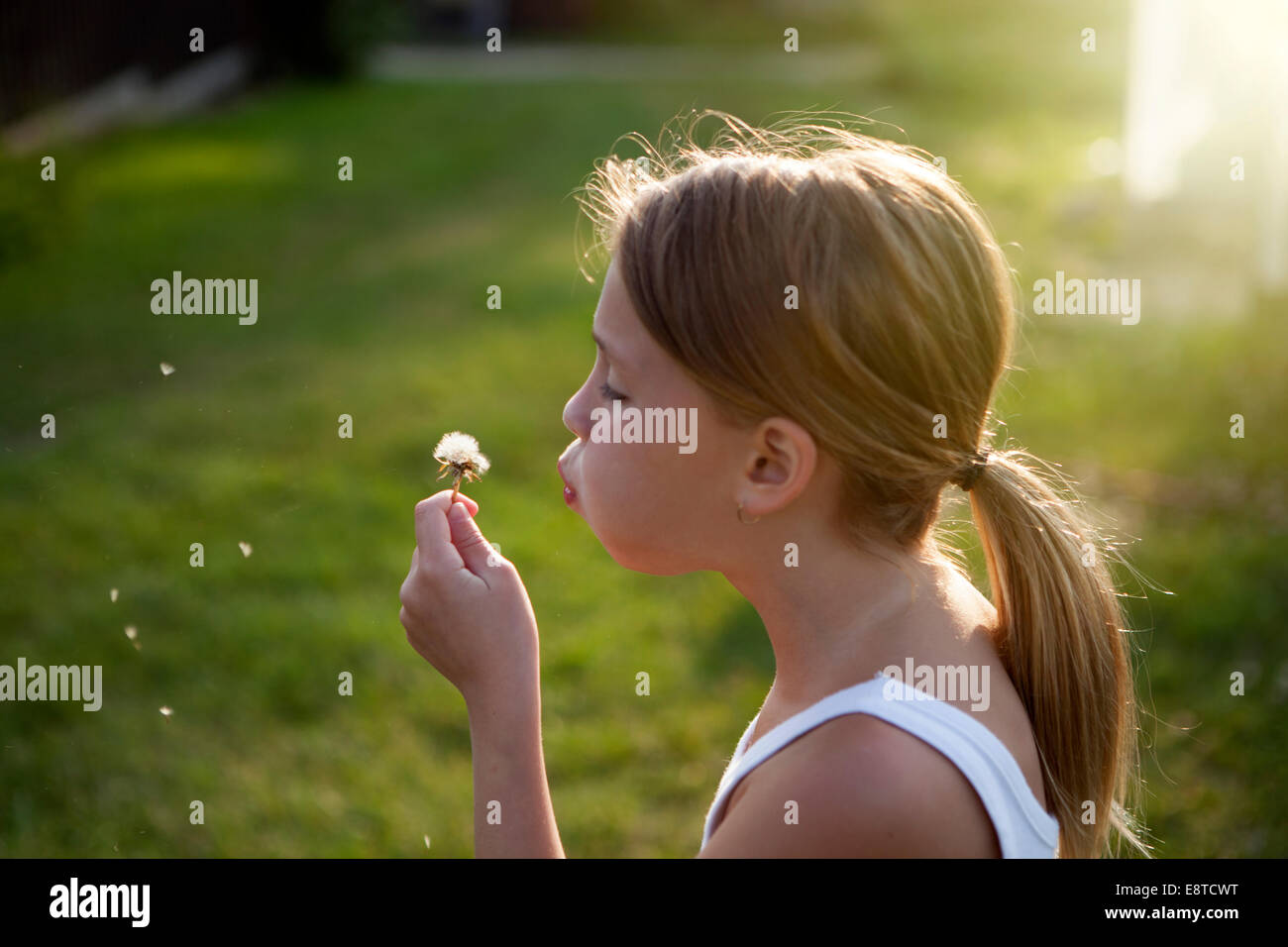 Caucasian girl blowing seeds off dandelion Stock Photo