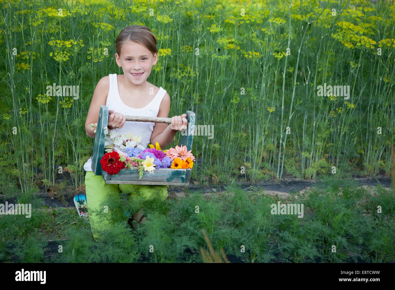 Caucasian girl holding basket of flowers Stock Photo