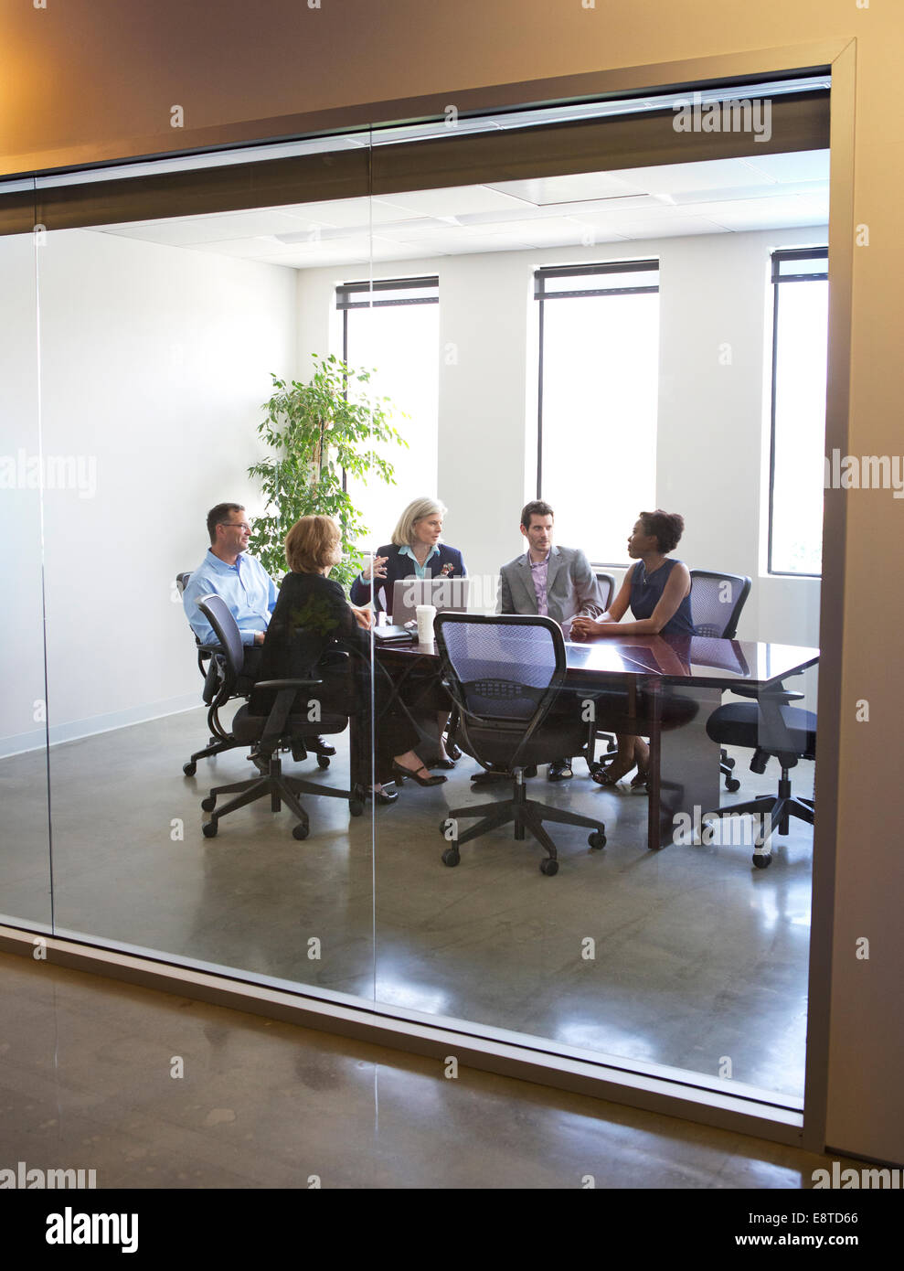Business people talking in meeting Stock Photo
