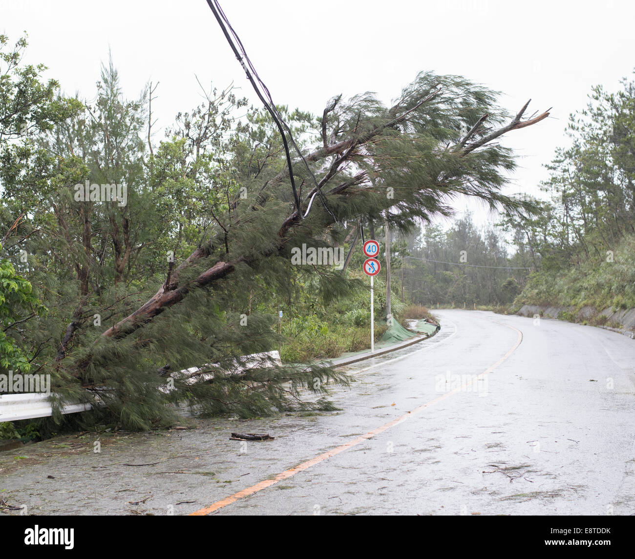 Typhoon damage hi-res stock photography and images - Alamy