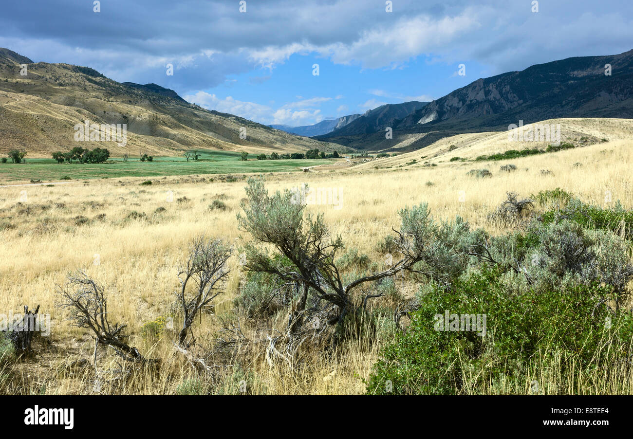 View across the rugged undulating landscape of Buffalo Bill State park showing the rocky mountains near Cody, Wyoming, USA. Stock Photo