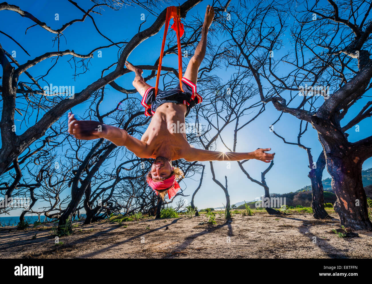 Aero Yoga. Man stretching from a tree. Stock Photo