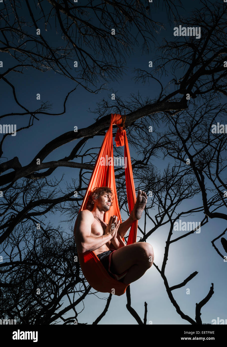 Aero Yoga. Man stretching from a tree. Stock Photo