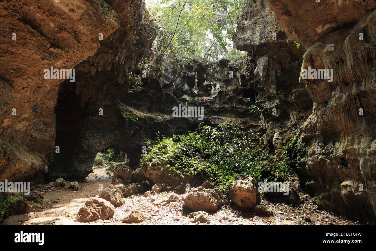 Entrance of a limestone cave in Indonesia Stock Photo