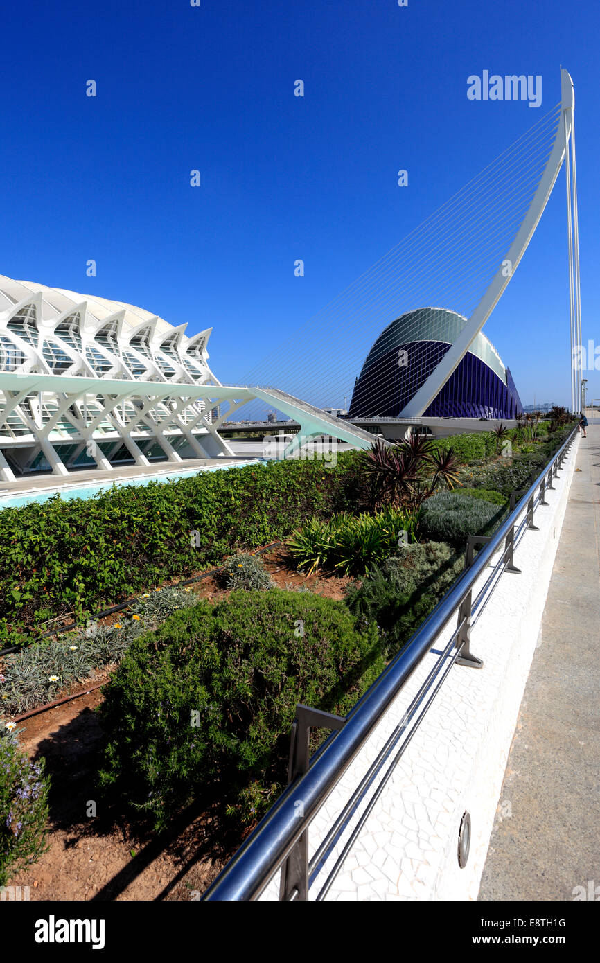 Puente de l'Assut de l'Or bridge and the Agora Hall, City of Arts and Sciences, Valencia , Comunidad Valencia, Spain, Europe Stock Photo