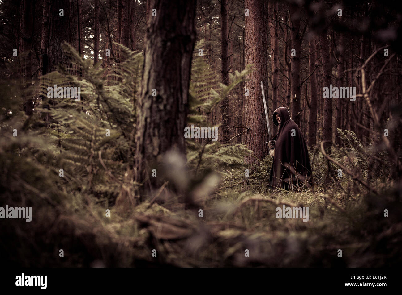 Fantasy warrior forest medieval hi-res stock photography and images - Alamy