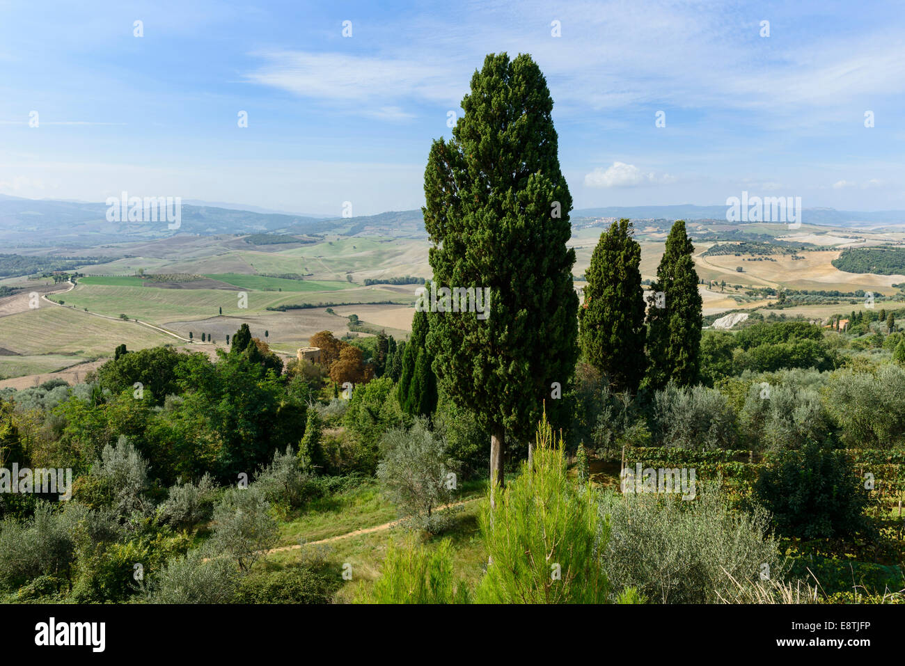 The Val D'Orcia Stock Photo
