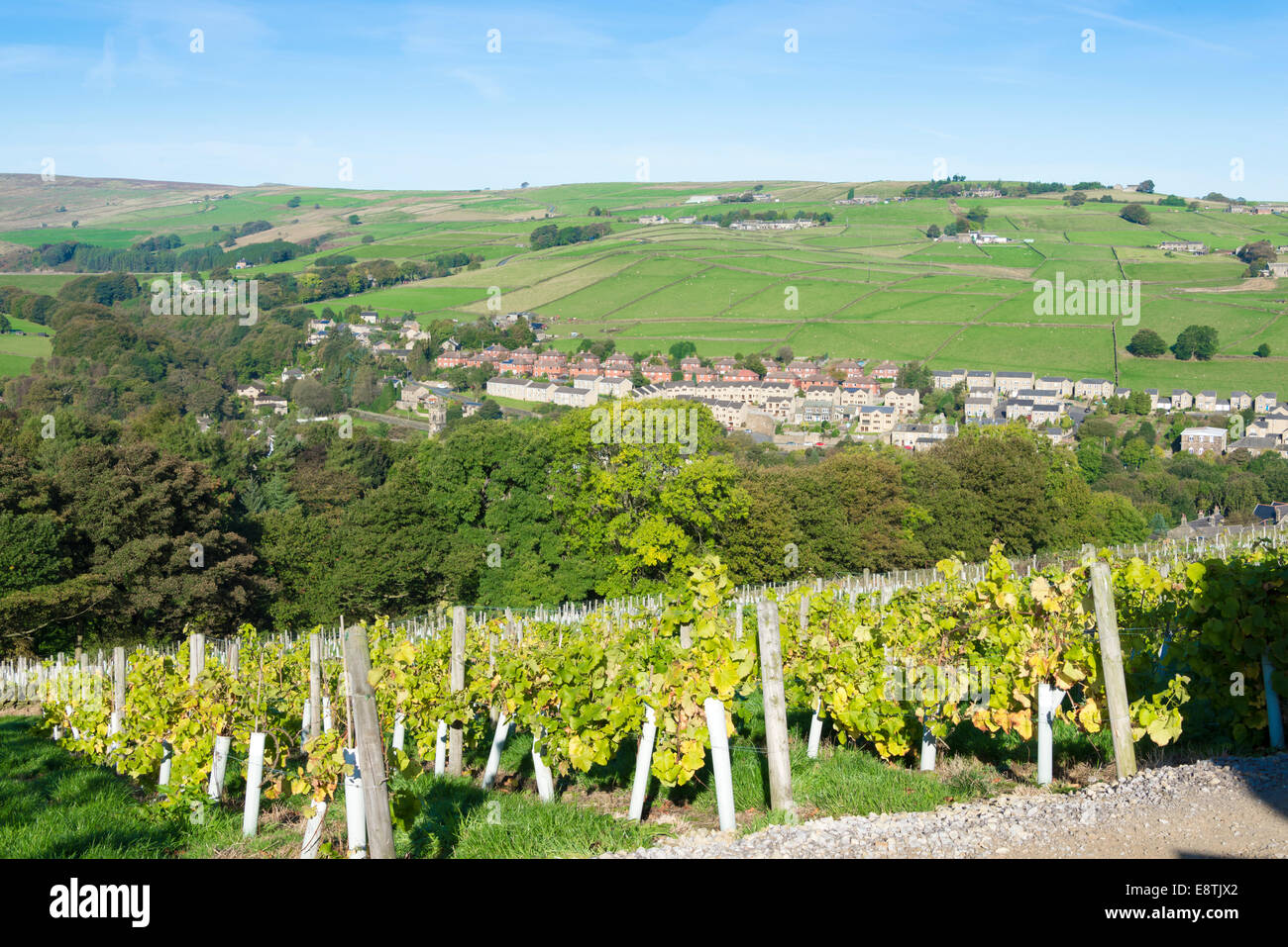 holmfirth vineyard