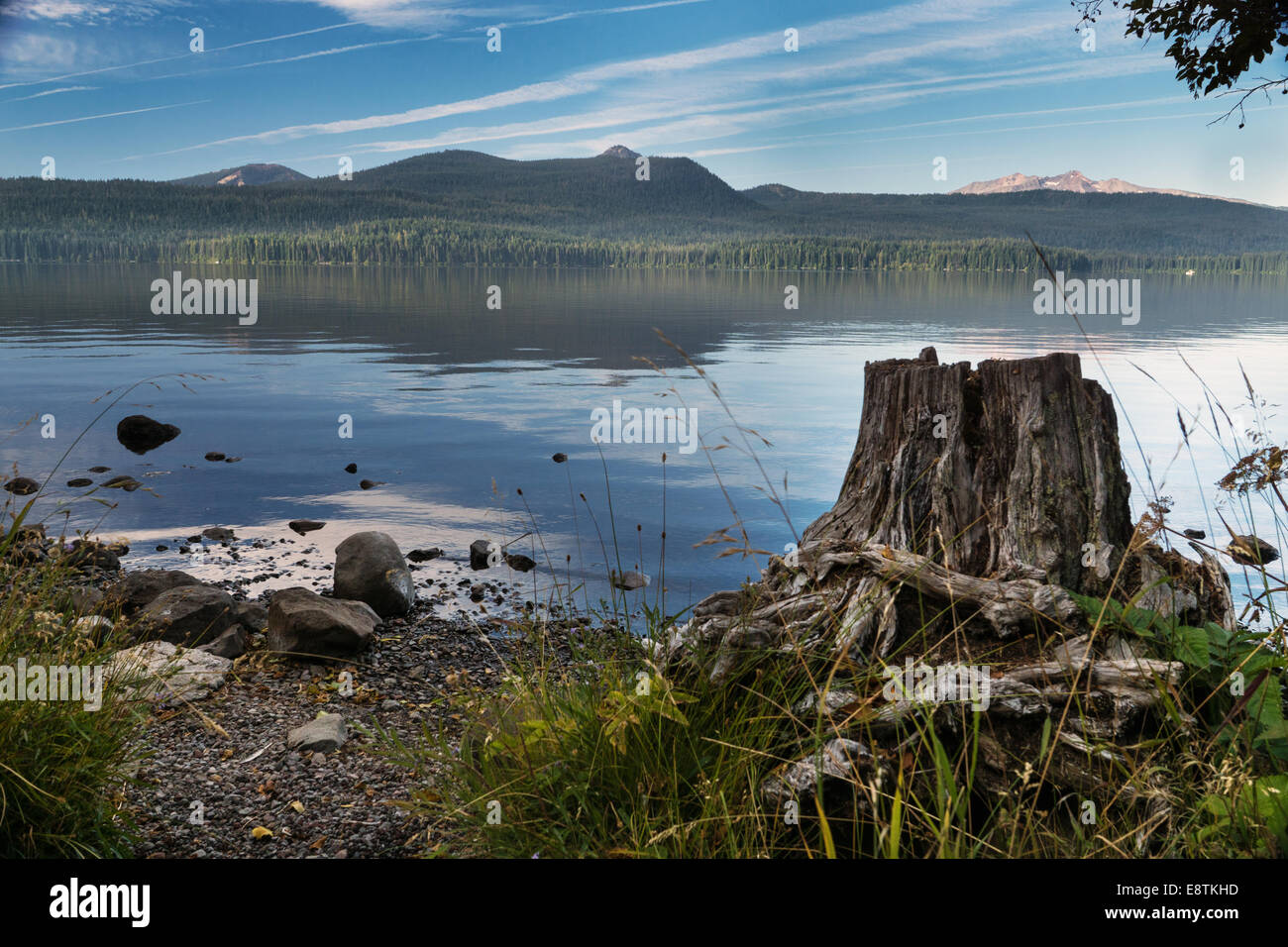 Quiet time at Odell lake. Stock Photo