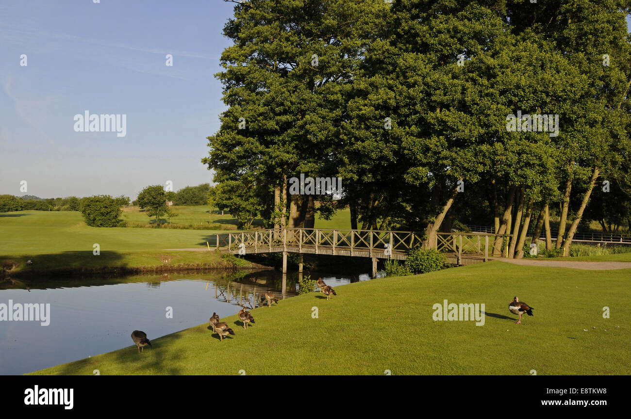 Windlesham hires stock photography and images Alamy