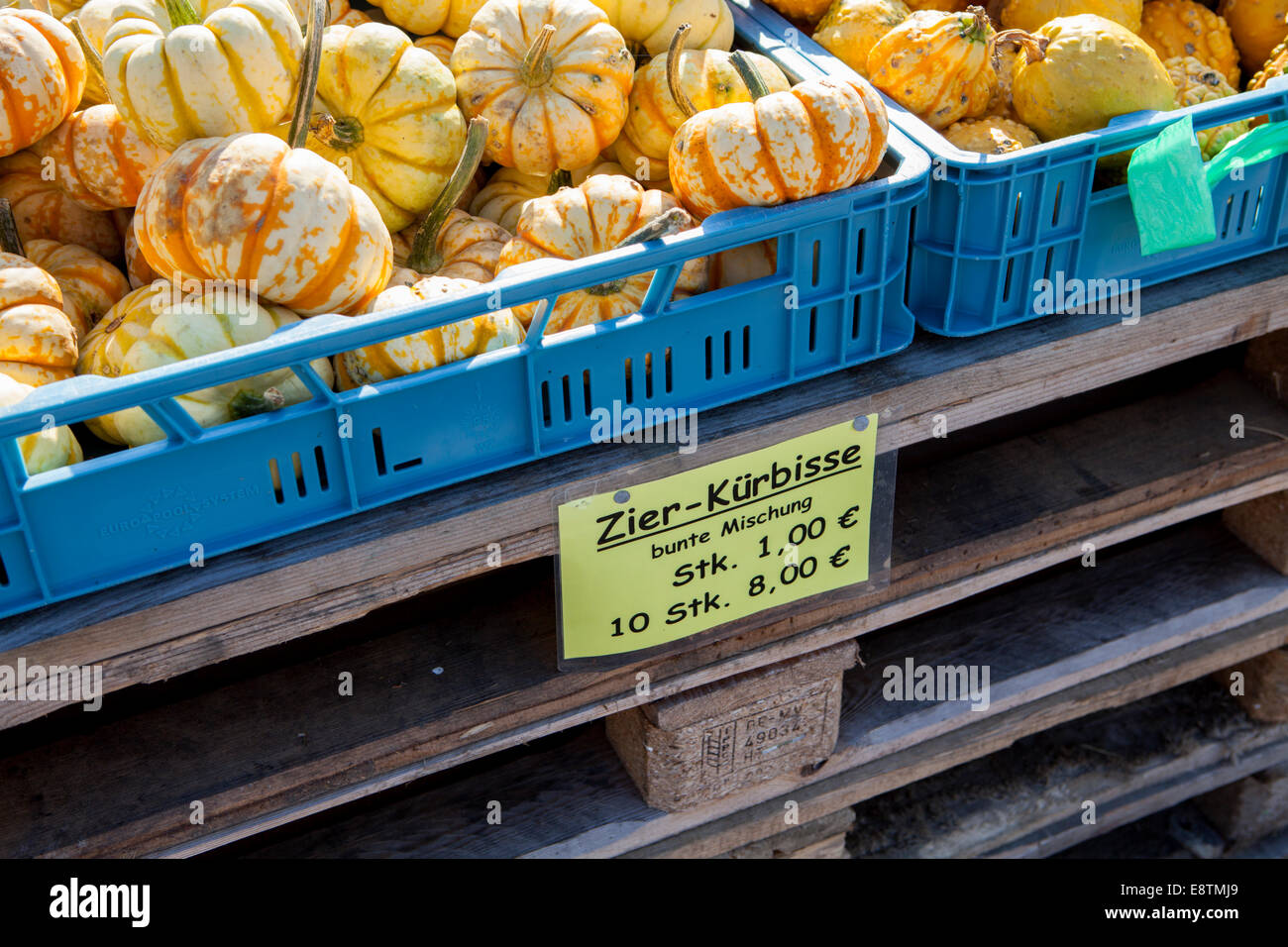 Ornamental gourd variety, Different pumpkins for decoration and cooking, Germany, Europe Stock Photo