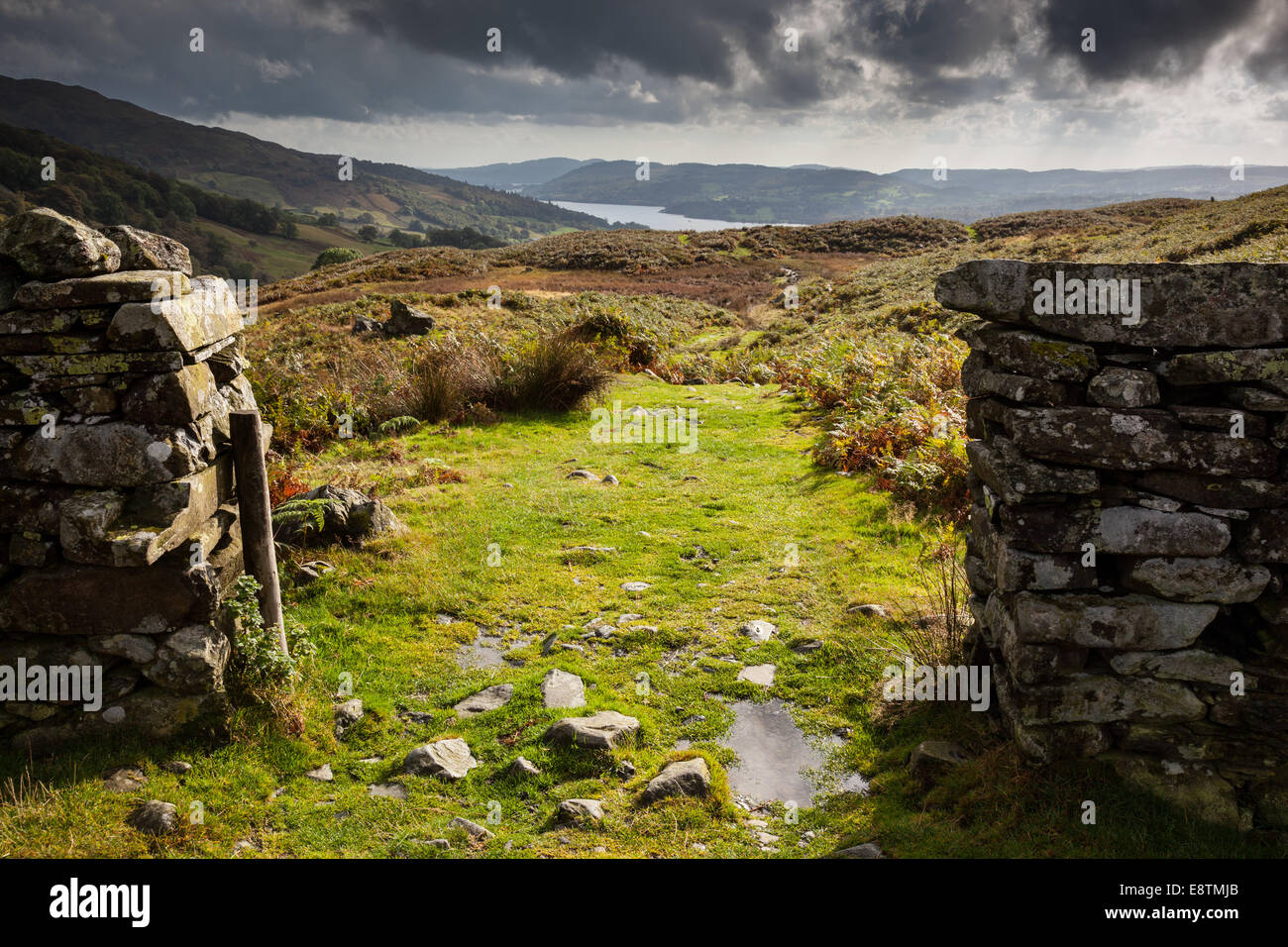 The path down the lower slopes of Sweden Crag towards Ambleside, with