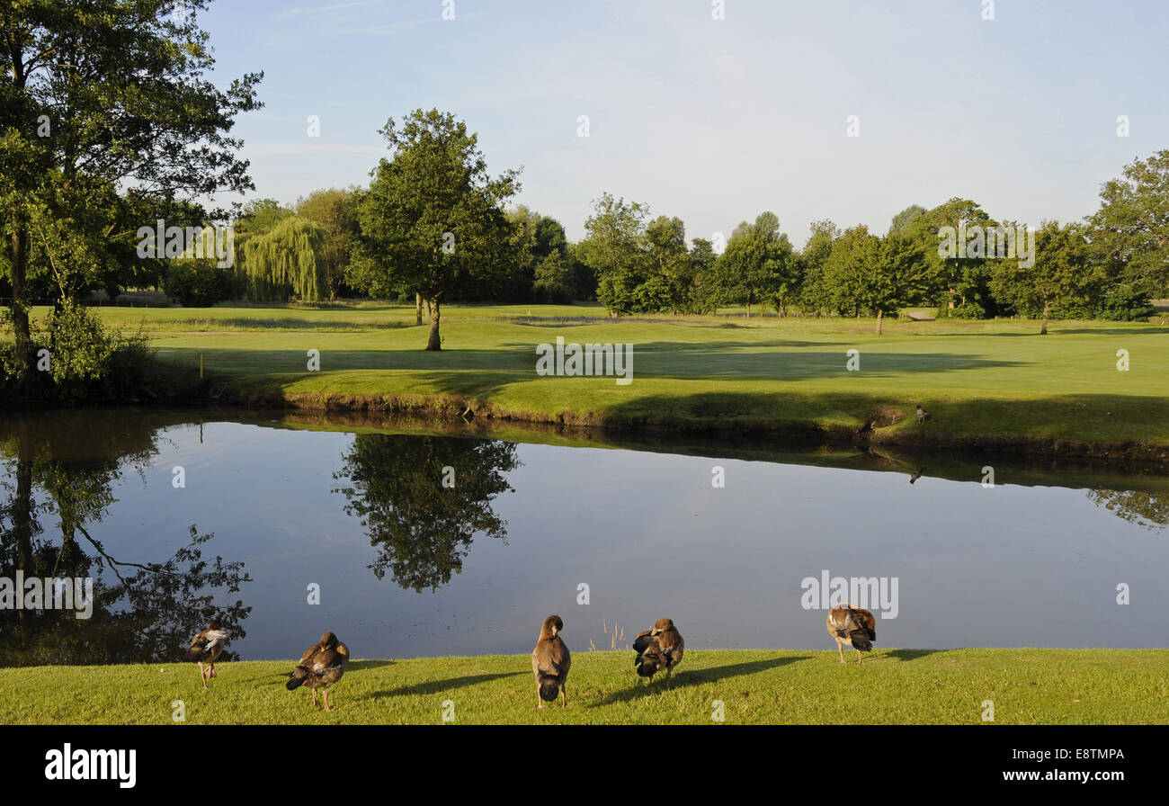 9th hole hires stock photography and images Alamy