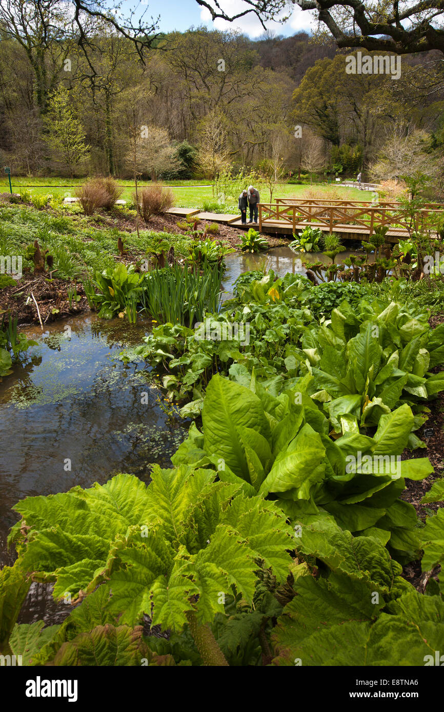 UK, England, Devon, Great Torrington RHS Rosemoor Gardens, visitors in the water garden Stock Photo