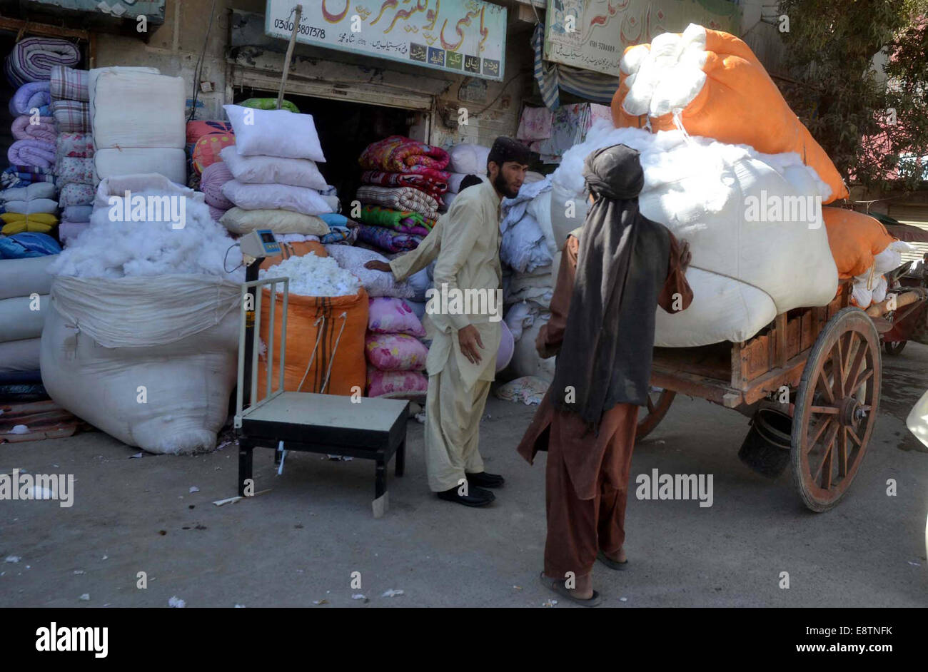 Cotton Traders sell and purchase cotton to earn their livelihood for